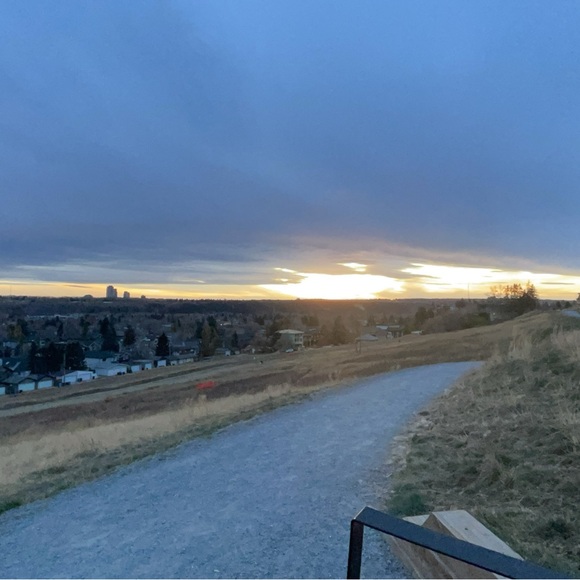 Meet your Posher, Nicky - Picture 1 of 1